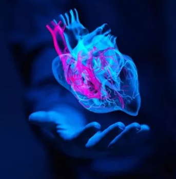 Cardiology and heart surgery picture